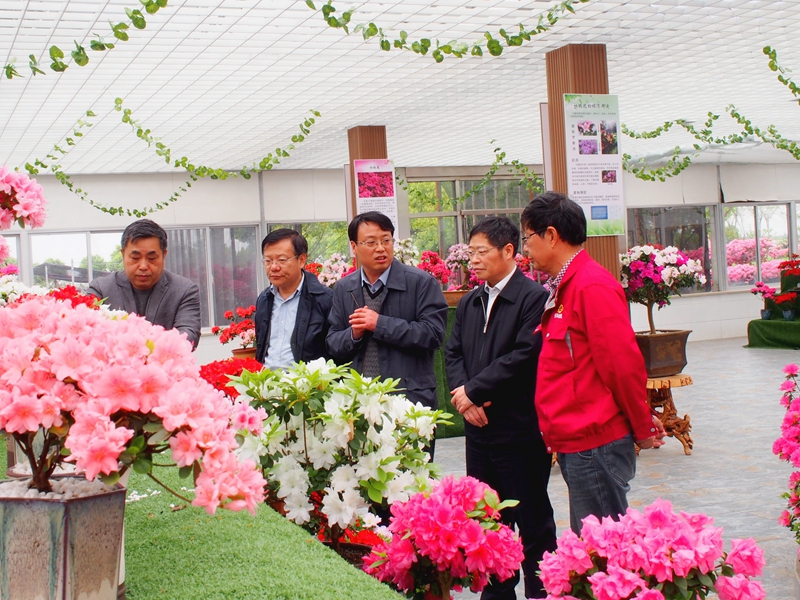 易中懿院长常有宏书记视察休闲所常州裕华杜鹃花种植基地