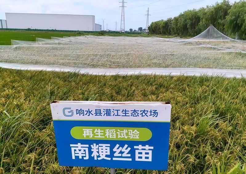 微信图片_20260911163456_25_134.jpg