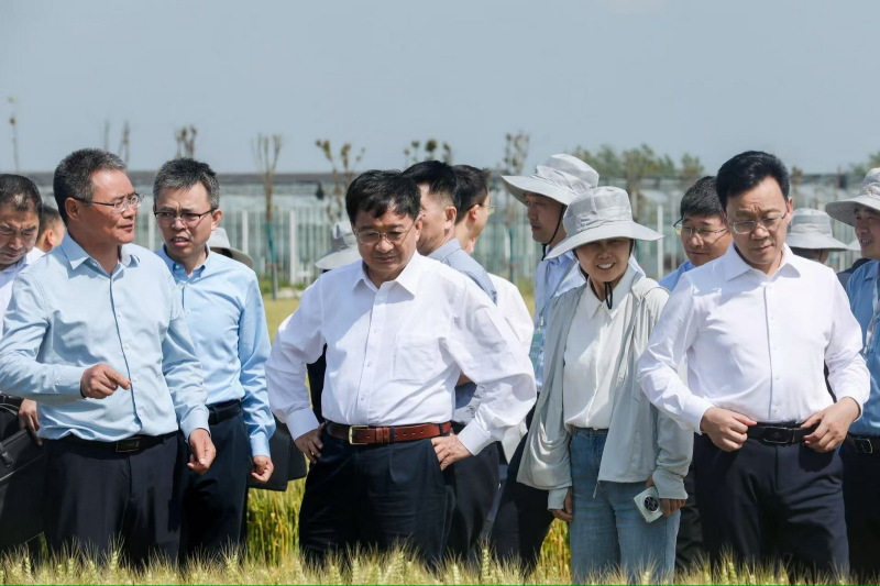 1_调整大小.jpg