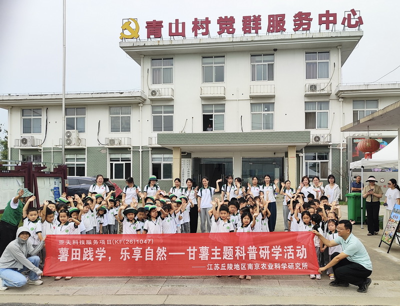 甘薯研学3_调整大小.jpg