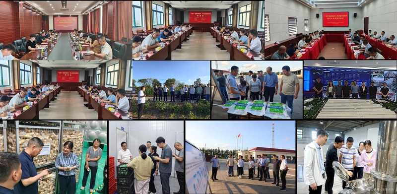 活动图片组合01.jpg